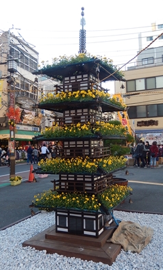 日本の秋を代表する菊の花